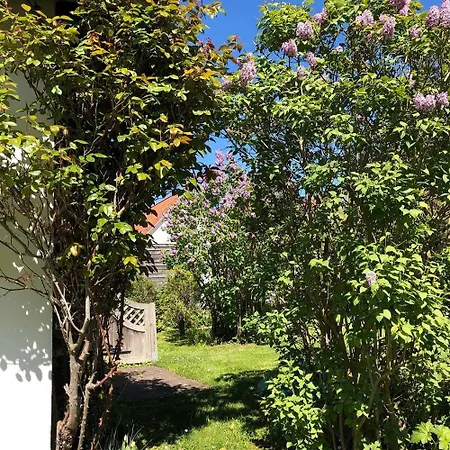 Witt Hues Дом отдыха *