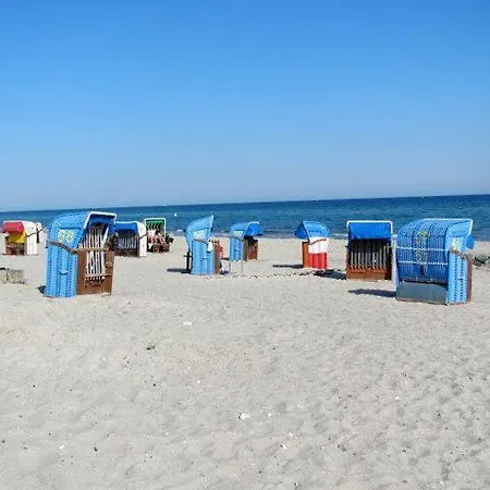 Witt Hues * Ховахт